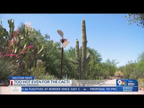 Hot temperatures in Arizona