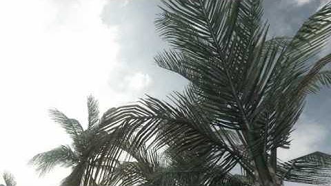 Tryhard Mark - Straight up and down random tomahawk on Firing range