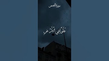 استمع لأجمل تلاوة نادرة من سورة القصص بصوت الحصري تهز المشاعر