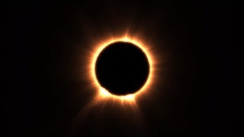 Loving the Flatline/P2020 combo!