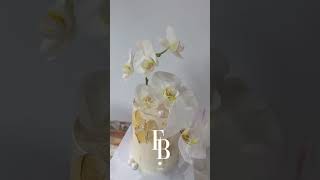 대구꽃집 대구부케 대구꽃다발 대구생화케이크 프리지아벨라 / 호접난 케이크