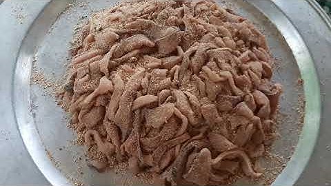 Nhịp sống miền núi .Ăn cá sống mường rụng hòa bình