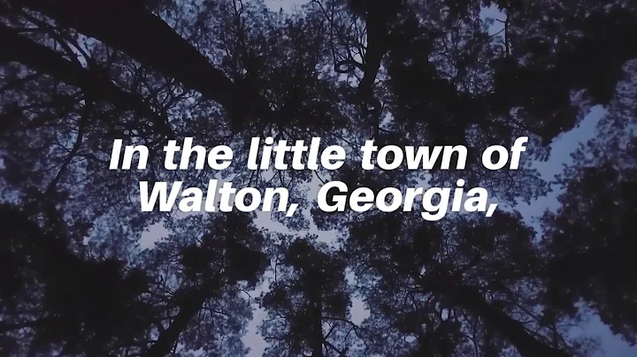 Living Lies by Natalie Walters Book Trailer