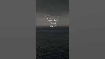 تلاوة خاشعة ومؤثرة للشيخ ياسر الدوسري | سورة النمل | “قل الحمد لله وسلام على عباده الذين اصطفى