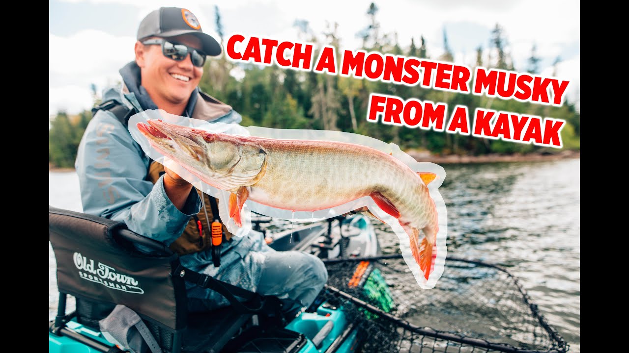 Catch HUGE Musky From a  Old Town Sportsman Kayak with Jay Siemens