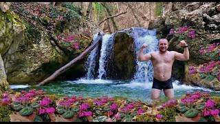 Крым 2026 - Место от которого мурашки по коже. Розовое чудо Крыма ЦИКЛАМЕНЫ. Показываю ВСЮ ПРАВДУ.