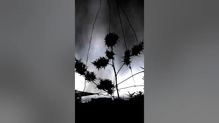 The Great Gig In The Sky (2023 Remaster) - Pink Floyd