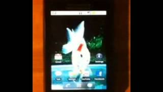 Real fish Live Wallpaper for Android screenshot 3