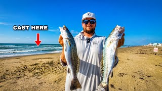 These SPECKLED TROUT Were Hiding Right Off the BEACH! (Catch & Cook)
