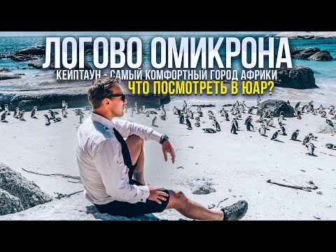 Что посмотреть в ЮАР? Кейптаун. Южный край земли. Пляж с пингвинами. Сафари