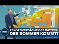 Wetter starke warmluft kommt nach deutschland  pflanzen sind schon im vollfrhling