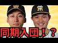 【4/9 阪神対ヤクルト】茨木がプロ初先発初勝利！！！おめでとう！！森下がまたえげつないHR！！正直今日本一良い打者ちゃう？？坂本の配球＆キャッチングも凄いわ… 大山に待望のタイムリー！徹底解説するわ