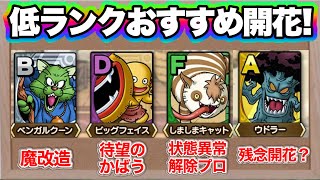 【ドラクエタクト】良開花多数！低ランク開花性能考察＆おすすめ紹介
