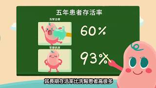 【上集】腎臟移植動畫