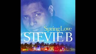SPRING LOVE STEVIE B REMIX versão 2022