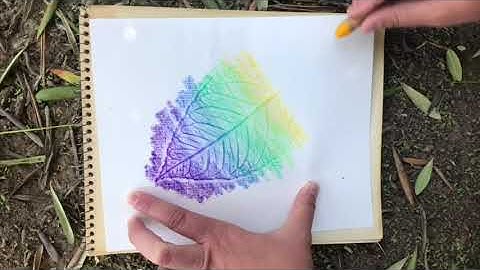 How to make a Leaf Rubbing with Crayons