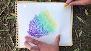 How to make a Leaf Rubbing with Crayons screenshot 1