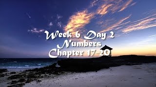 Audio Bible Reading Plan - Week 6 Day 2 (Numbers 17-20)