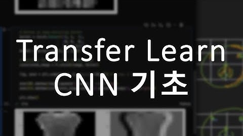 딥러닝,  전이학습, fine tuning, transfer learning