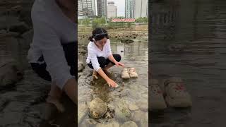 #Top trending#Funny original videos#Please do not take fictional interpretations seriously