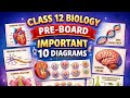 #Class12#Biology#Marathon#Boards#Endgame#MostImportant Questions