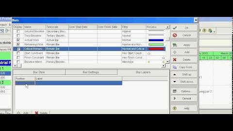 Primavera P6 adding label to gantt chart bars