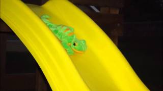 Webkinz Stop Motion Starring: Fizz