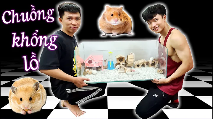 Tony Thử Thách Làm Chuồng Hamster Khổng Lồ