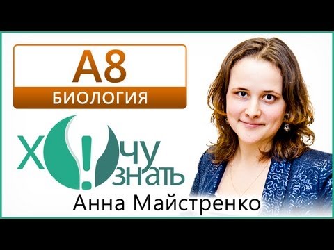 А8 по Биологии Демоверсия ГИА 2013 Видеоурок
