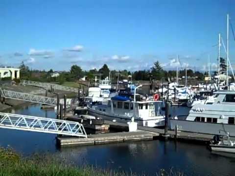Видео: Birch Bay Washington Trip Planner
