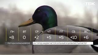 На последней неделе марта красноярцев ждут температурные качели
