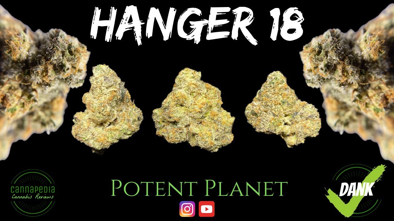 Hanger 18 Strain Review - Potent Planet - Cannapedia