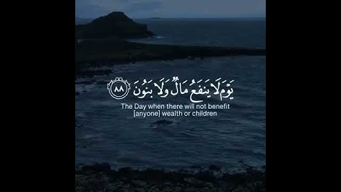 قرآن كريم بصوت القارئ ياسر الدوسري تلاوة خاشعة و مؤثر ارح قلبك 💚🌿حالة واتس إسلامية /استوري انستغرام