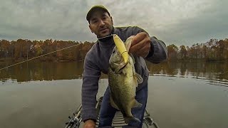 BASS FISHING (TOPWATER BASS IN 60 DEGREE WATER!)WHOPPER PLOPPER! - YouTube