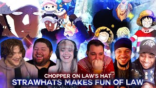 Strawhats Makes Fun Of Law ! Chopper On Law's Head ! Reaction Mashup