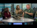"The Gator Man" brings baby alligators into the WWL studio