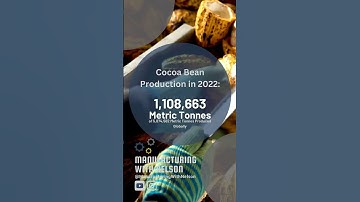 Largest COCOA BEAN Producers in the World by Country | 2022