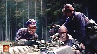 Kampfgruppe Peiper, German 1st SS Panzer Division ‘Leibstandarte Adolf Hitler’, Battle of the Bulge