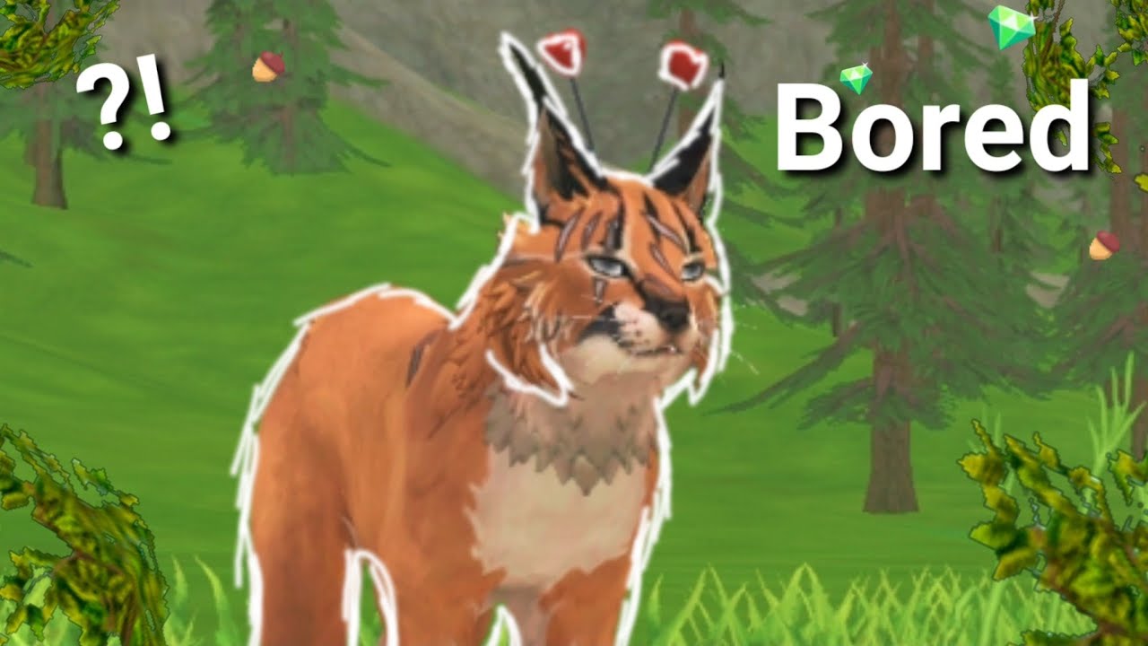 10 things to do if your bored on Wildcraft YouTube