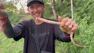 21kg of eels executed in one day, making you curious