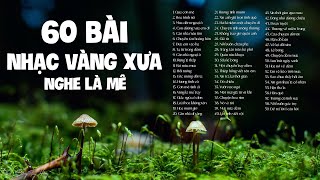 60 Bài Nhạc Vàng Xưa Nghe Một Lần Là Mê - LK Qua Cơn Mê, Hoa Trinh Nữ