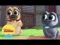 Pega Filhote | Brincando com Puppy Dog Pals