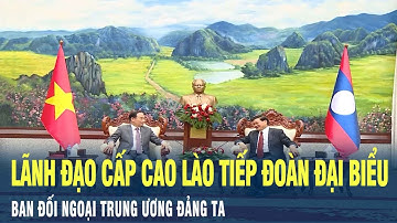 Lãnh đạo cấp cao Lào tiếp Đoàn đại biểu Ban Đối ngoại Trung ương Đảng ta | VOV
