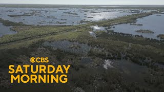 Massive project works to restore Florida's Everglades