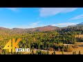 Spring Beauty of the Carpathian Mountains from Above - 3 HOUR Drone Footage + Calming Music