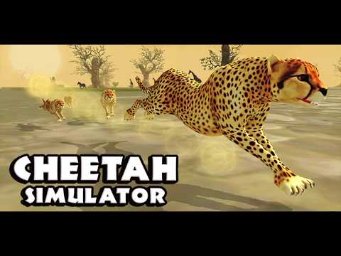 Cheetah Simulator: Game Trailer for iOS and Android