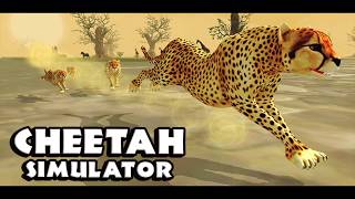 Cheetah Simulator: Game Trailer for iOS and Android screenshot 1