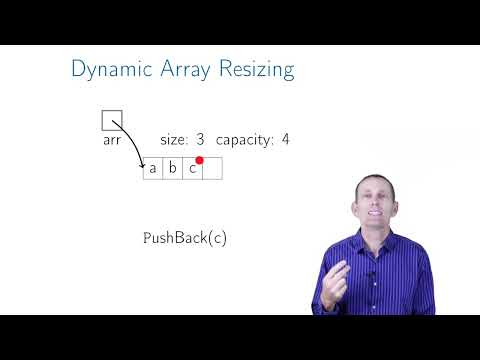 Dynamic Array Resizing