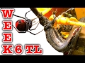 Redback Spider Killing Skink Week 6 Timelapse Educational Video