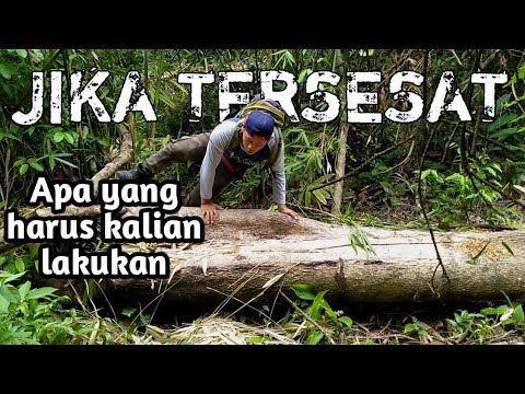 Video: Apa Yang Harus Dilakukan Jika Tersesat Di Hutan?